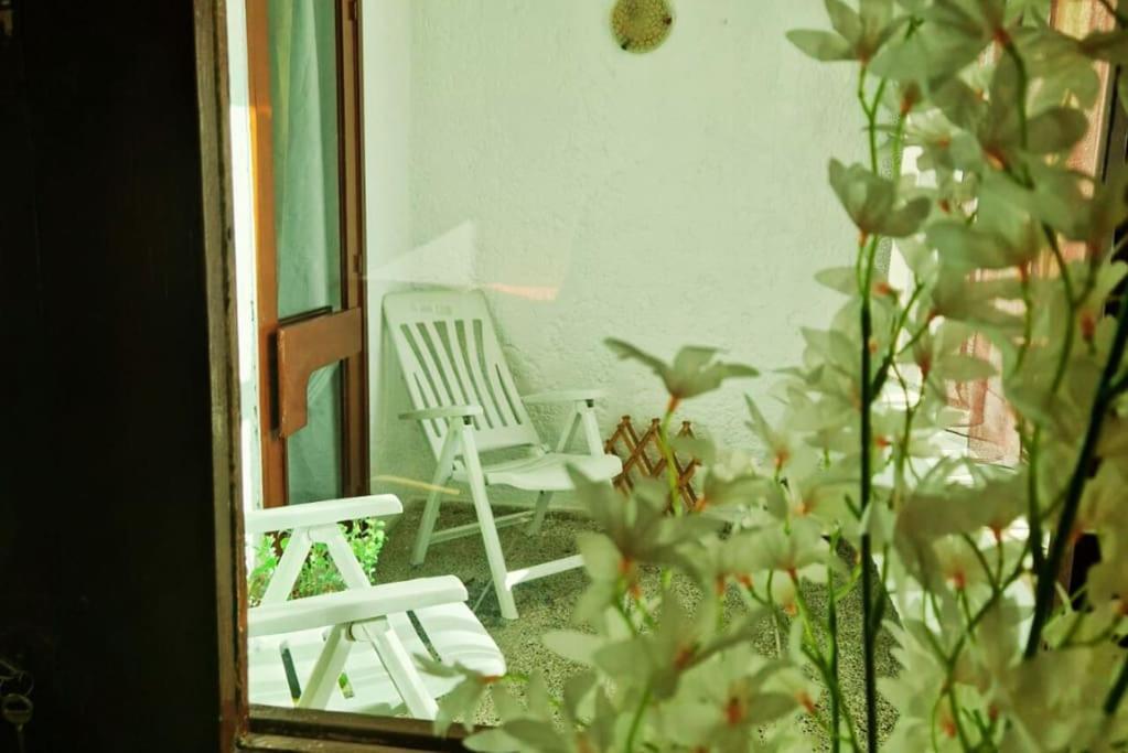 Charmant Studio Cotier Tangier